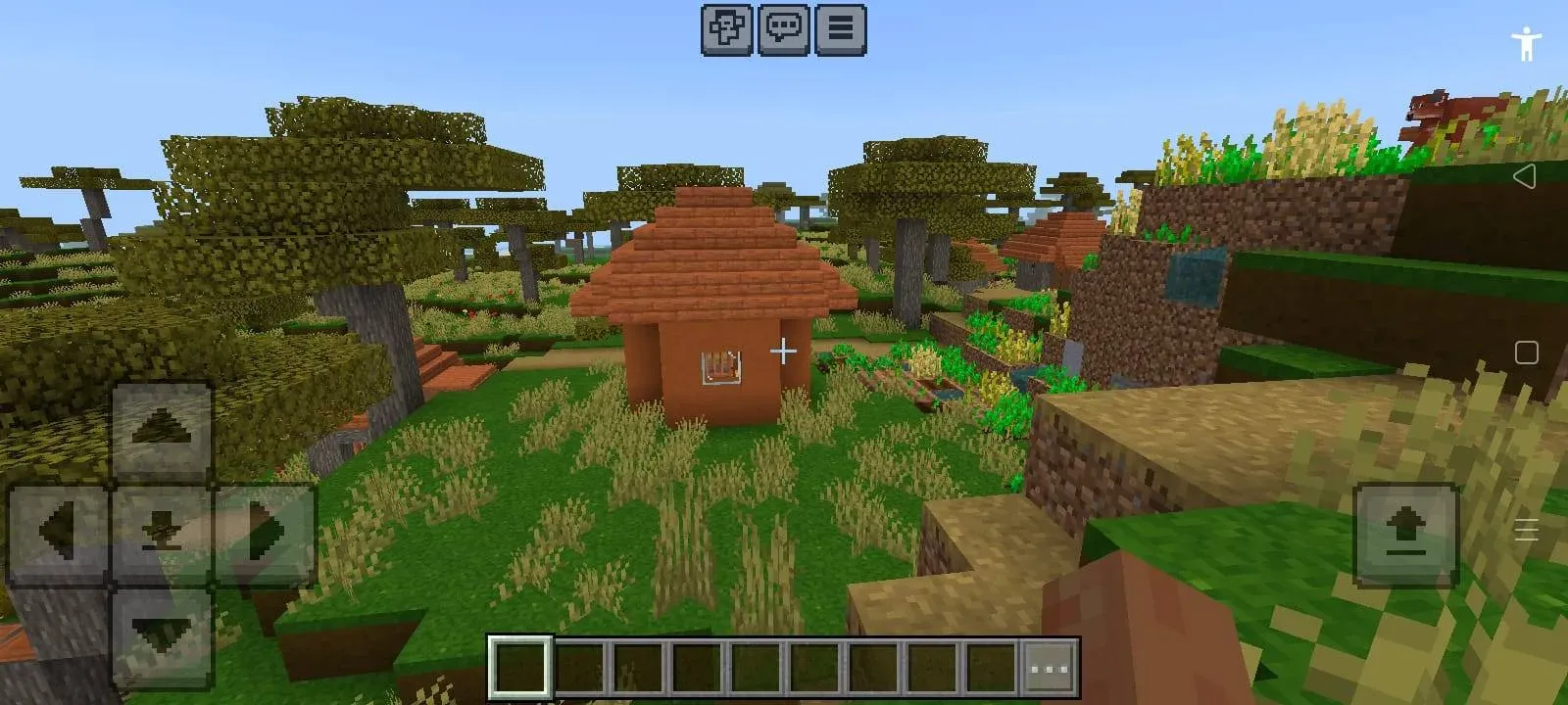 Lush Grass and Foliage