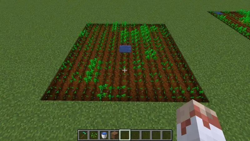 Watering crops