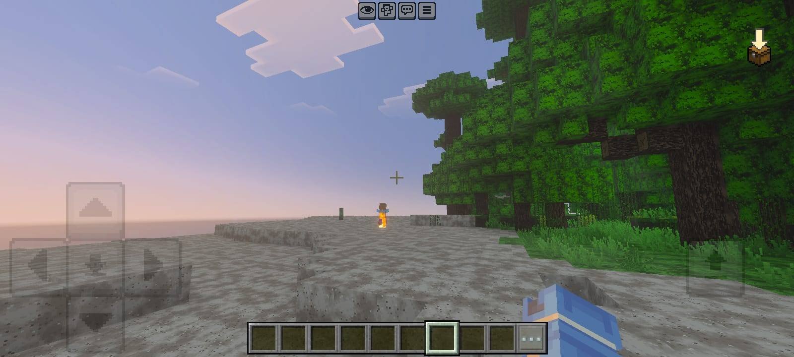 at beach
